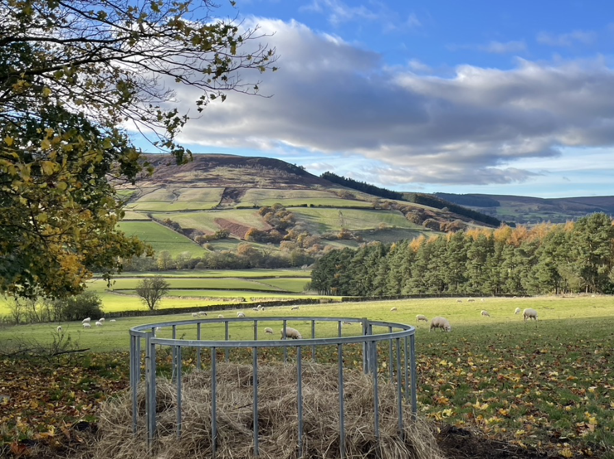 Photograph of part of the route.