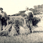 Ampleforth College boys helping the war effort