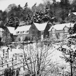 Mrs Rugg's garden c.1955