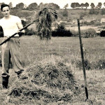 College boys harvesting in the war time