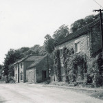 Ivy Cottage c.1954