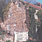 Ivy Cottage c.1985