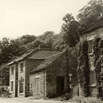 Ivy Cottage