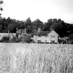 Looking north towards Ledbrooke House and The Terrace c.1945